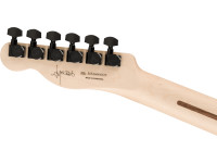 fender-limited-edition-jim-root-telecaster-eb-shoreline-gold_6a3d38374e93f.jpg