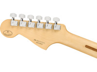 fender-limited-edition-player-jazzmaster-pau-ferro-fingerboard-3-color-sunburst-tortoiseshell-pickguard_645ca5d0ec239.jpg