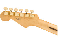 fender-limited-edition-player-maple-fingerboard-fiesta-red-gold-hardware_65c50ce90a330.jpg