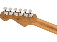 fender-limited-edition-player-plus-hss-roasted-maple-fingerboard-black_65a8fad4b74da.jpg