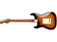 fender-limited-edition-player-roasted-maple-fingerboard-2-color-sunburst_65c50d5dd51a5.jpg