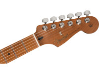 fender-limited-edition-player-roasted-maple-fingerboard-2-color-sunburst_65c50d6d46be1.jpg