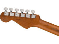 fender-limited-edition-player-roasted-maple-fingerboard-2-color-sunburst_65c50d714213b.jpg