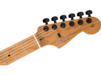 fender-ltd-am-pro-ii-strat-hss-agn_67c82c29da6d4.jpg