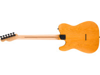 fender-ltd-am-pro-ii-tele-hh-agn_67d04666cd201.jpg