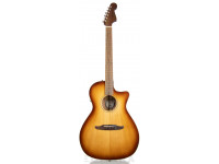 fender-newporter-classic-acb-w-bag_603e51905aa44.jpg