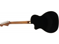 fender-newporter-player-jetty-black_5c782bc50e714.jpg