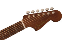 fender-newporter-special-honey-burst-mah_64da0afd1b091.jpg