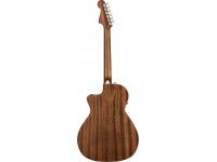 fender-newporter-special-mah-w-bag_5f05d9be2b94b.jpg