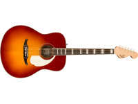 fender-palomino-vintage-sienna-sunburst-com-case_64da0e9d701ad.jpg