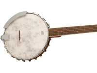 fender-pb-180e-banjo_6347d24262594.jpg