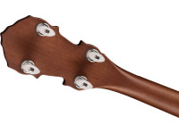fender-pb-180e-banjo_6347d248a1907.jpg