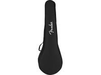 fender-pb-180e-banjo_6347d24abf445.jpg