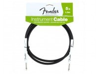 fender-perfomance-15-mts_58cbbe6094257.jpg