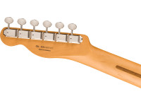 fender-player-ii-telecaster-maple-fingerboard-butterscotch-blonde_6703b651d24a4.jpg