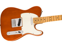 fender-player-ii-telecaster-maple-fingerboard-mocha_671a53ff4c329.jpg