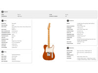 fender-player-ii-telecaster-maple-fingerboard-mocha_671a5412b8433.jpg