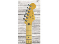 fender-player-plus-hss-3-color-sunburst_61bca352da6ef.jpg