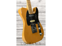 fender-player-plus-nashville-butterscotch-blonde_6351112396fe6.jpg