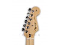 fender-player-series-strat-hss-mn-bcr_5fd3a63db3cfa.jpg