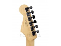 fender-player-series-strat-mn-tpl_5f97fe846e938.jpg
