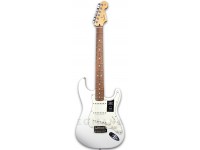 fender-player-series-strat-pf-pwt_5f9bf67d96d95.jpg