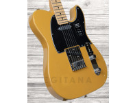 fender-player-series-tele-mn-btb_6093b81ab7637.jpg