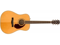 fender-pm-1-standard-dreadnought-natural_5c7828d335adc.jpg
