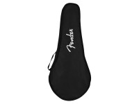 fender-pm-180e-mandoline-acb_62e7dd617e0b2.jpg