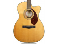 fender-pm-3-triple-0-standard-ov-natural-w-case_603e36052182d.jpg
