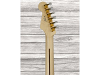 fender-richie-kotzen-stratocaster-mn-transparent-white-burst_65d8c34b6d5db.jpg
