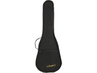 fender-rincon-tenor-ukulele-v2-ov-natural_5ed65031587b4.jpg