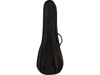 fender-rincon-tenor-ukulele-wn-acb_62b1f1f092112.jpg