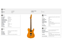 fender-special-edition-custom-telecaster-fmt-hh-amber_69b2a2dfa8769.jpg