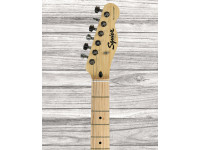 fender-squier-sonic-tele-mn-butterscotchb_65c11e4d92323.jpg