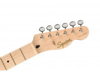 fender-squier-telecaster-paranormal-cabronita-thinline-lake-placid-blue_615492668f6be.jpg