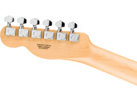 fender-std-tele-lrl-wpg-owt_67927ba6797c6.jpg
