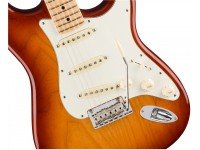 fender-stratocaster-american-pro-sienna-sunburst_5_3.jpg