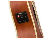 fender-tim-armstrong-hellcat-12_6047955eeb59a.jpg
