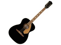 fender-tim-armstrong-hellcat-anni_5f4fb7dc38433.jpg