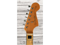 fender-troy-v-leeuwen-jazzmaster-mn_637ce33888cfb.jpg