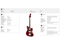 fender-troy-van-leeuwen-jazzmaster_6821fb593c32e.jpg