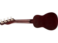 fender-venice-soprano-ukulele-2ts-wn_62b1f3232a904.jpg