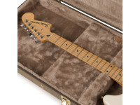 gator-deluxe-case-e-guitar-vintage_67d44a3a148b7.jpg