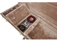 gator-deluxe-case-e-guitar-vintage_67d44a49f2db6.jpg
