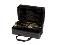 gator-gl-cornet_5dbac6c765ec6.jpg