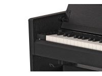 gewa-cp-510-black_6835962537eec.jpg