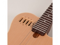 godin-cavaquinho_5baa48e99d306.jpg