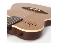 godin-multiac-encore_5ba8b05515983.jpg