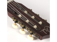 godin-multiac-encore_5ba8b05673274.jpg